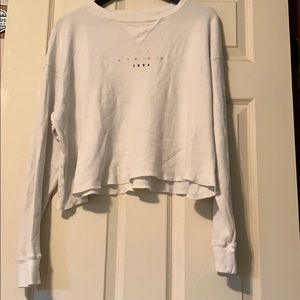Brandy Melville long sleeve crop top